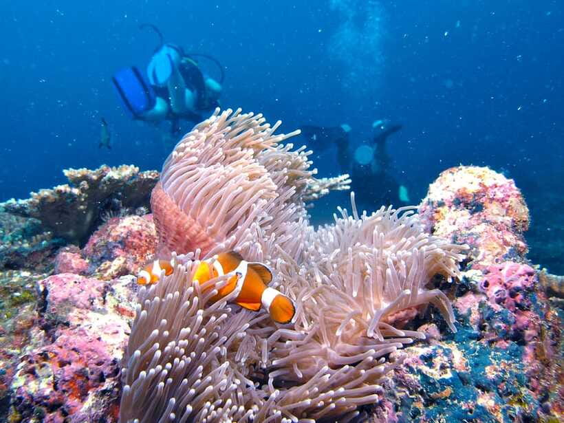 RAID Try-Dive in Kota Kinabalu, Sabah - From DBKK Jetty to the island park