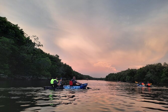 River Exploration and Mangrove Nature Tour by kayaking - High tide takes you beneath the mangrove canopy
