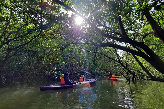 River Exploration and Mangrove Nature Tour by kayaking - What the $83.41 price includes