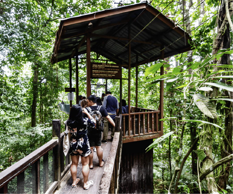 Sabah: Kinabalu Park, Hot Springs, and Cow Farm Day Tour - The guides can shape the whole day