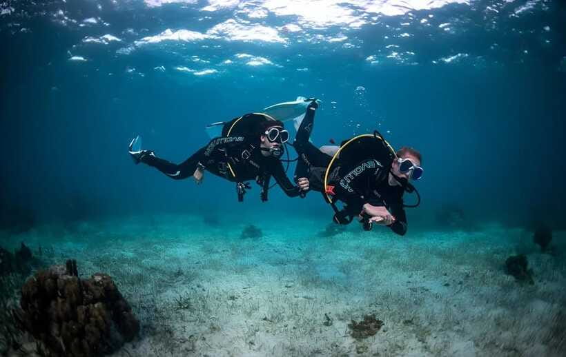 Sabah : Mamutik & Sapi Island Excursion Ticket - Tommy and the value of a guide