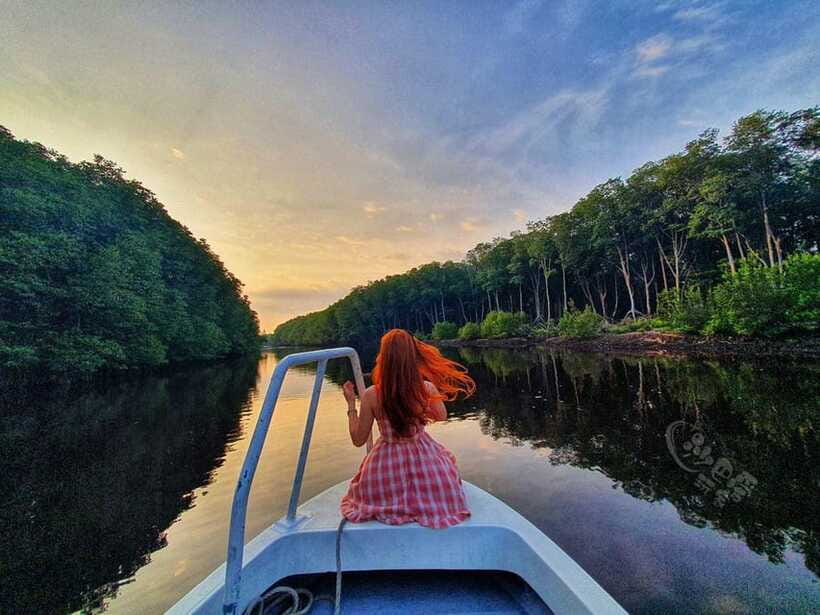 Sabah: Mangrove Fireflies, and Sky Mirror Dream Beach Tour - The firefly boat ride after dark