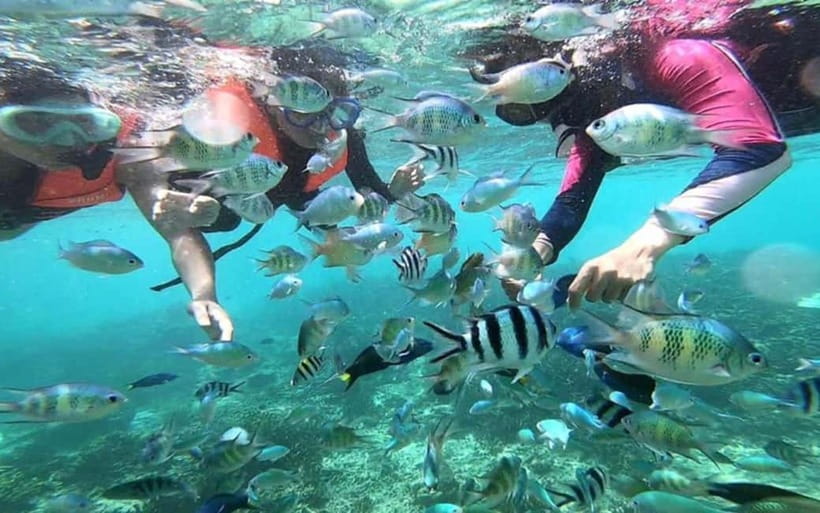 Sabah: Mantanani Island Day Tour with Lunch - The 1.5-hour drive from Kota Kinabalu