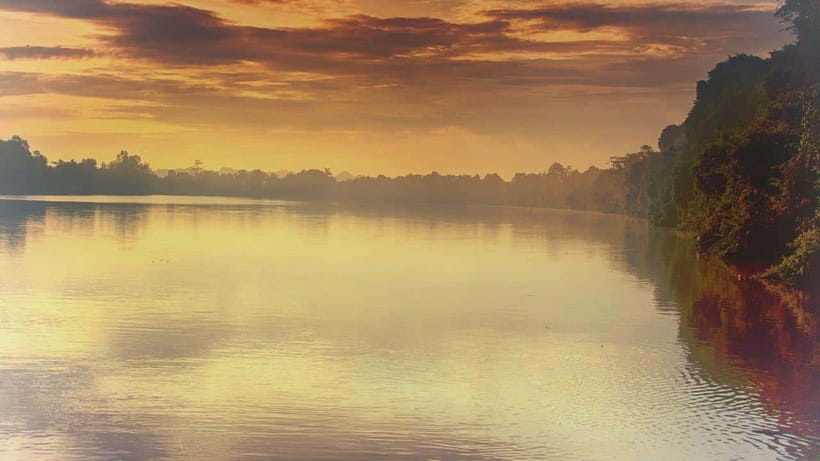 Sandakan: 2 Days 1 Night Bilit, Kinabatangan River Wildlife - Bilit Adventure Lodge: fine for one night