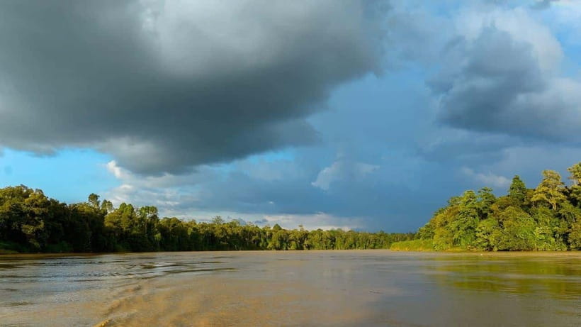 Sandakan: 2 Days 1 Night Bilit, Kinabatangan River Wildlife - Should you book the Bilit Kinabatangan tour?