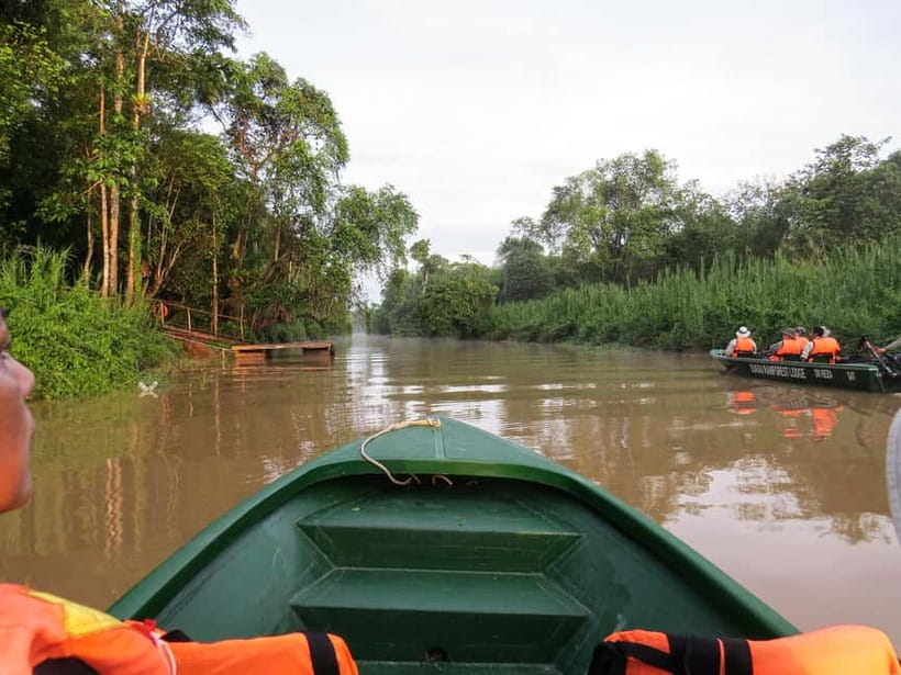 Sandakan: 3D2N The Wild Heart of Borneo River Secrets - First afternoon: arriving beside the Kinabatangan