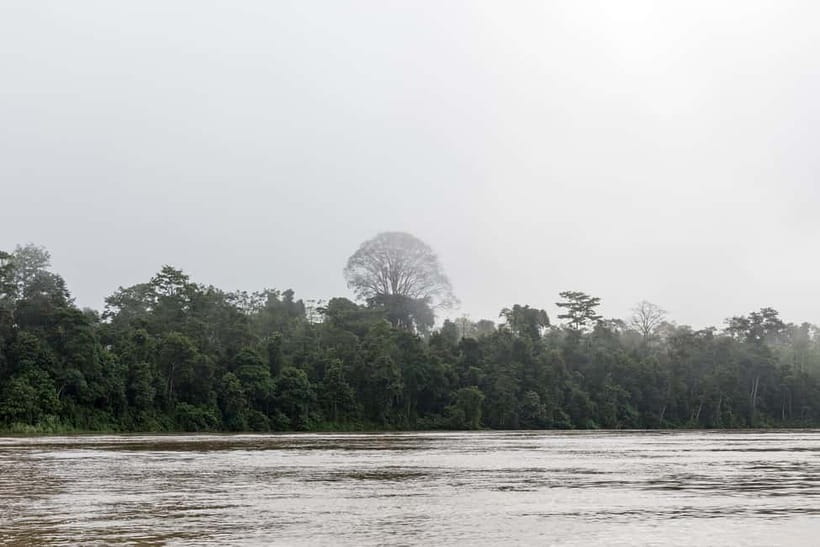 Sandakan: 3D2N The Wild Heart of Borneo River Secrets - What $316 actually buys you