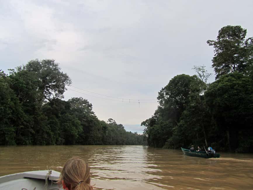 Sandakan: Gomantong Cave Echoes & Kinabatangan River Safari - Key points to know before booking