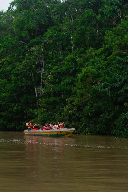 Sandakan: Kinabatangan River Wildlife Cruise with Lunch - Key details at a glance
