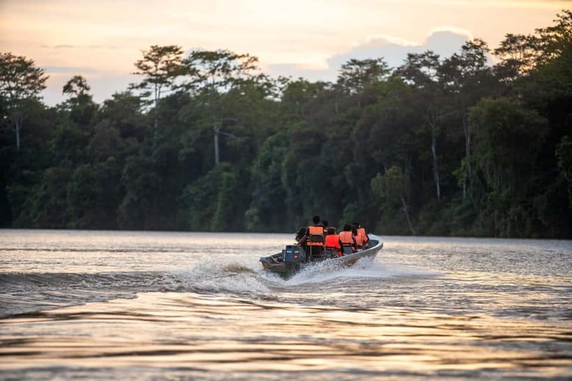 Sandakan: Kinabatangan River Wildlife Cruise with Lunch - Why the Kinabatangan River matters