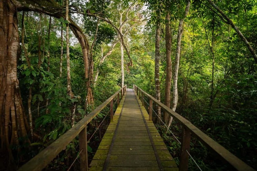 Sandakan: Kinabatangan River Wildlife Cruise with Lunch - Is $207 a fair price?