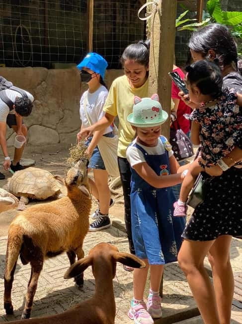 Selangor: Farm In The City Entry Ticket - What the educational side adds