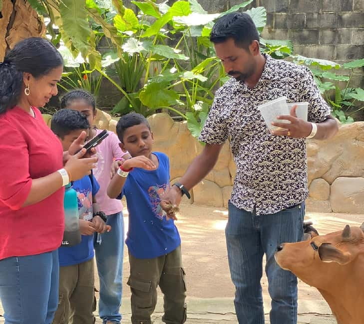 Selangor: Farm In The City Entry Ticket - How Farm In The City compares with a standard zoo visit