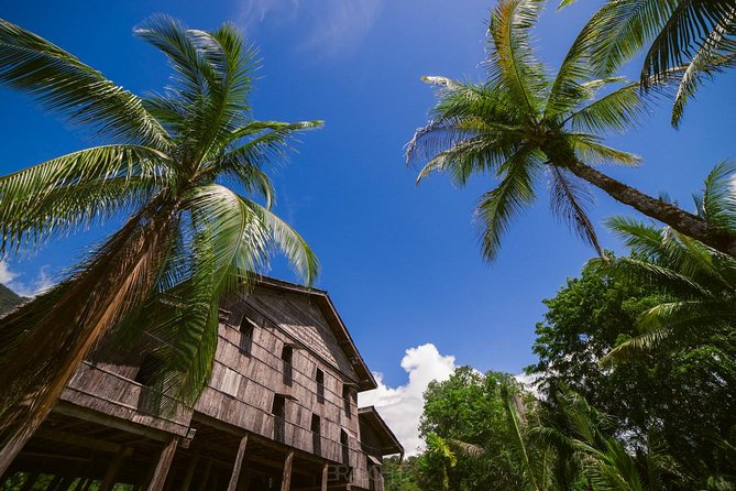 Semenggoh Orangutan Center & Sarawak Cultural Village - The cultural dance performance is worth protecting