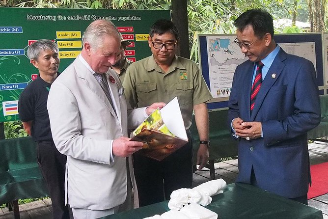 Semenggoh Wildlife Centre: Orangutan Discovery from Kuching - Why Semenggoh is worth your morning