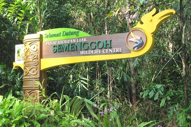 Semenggoh Wildlife Centre: Orangutan Discovery from Kuching - The value of a $69.96 tour