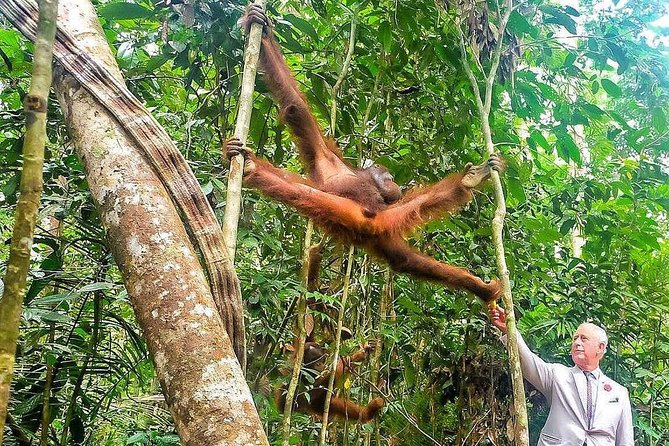 Semenggoh Wildlife Centre Tour: Discover Sarawak’s Orangutans - Walking through the Semenggoh grounds