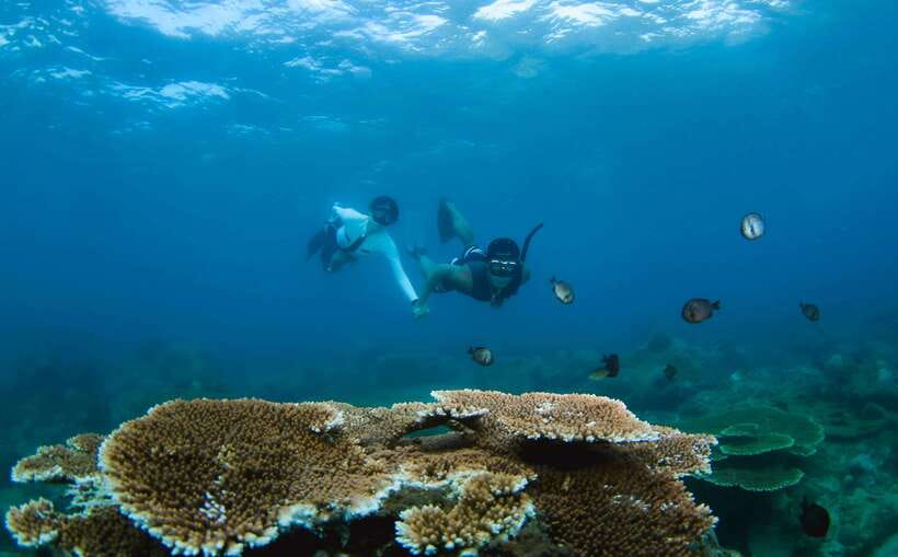 Semporna: Explore 3 Islands Tour Snorkel or Dive & Lunch - Starting at Semporna Jetty