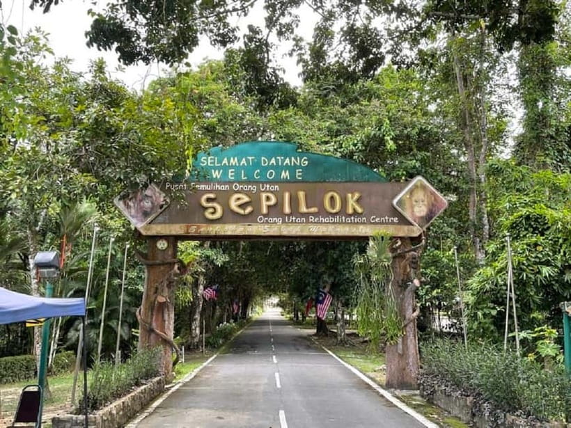 Sepilok OrangUtan, Sun Bear & Labuk Bay Full Day Trip - Three very different wildlife stops in one day