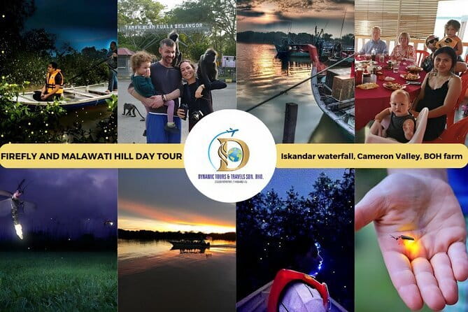 Shared Fireflies Tour with Blue Tears and Seafood Dinner - Is $65 a fair price?