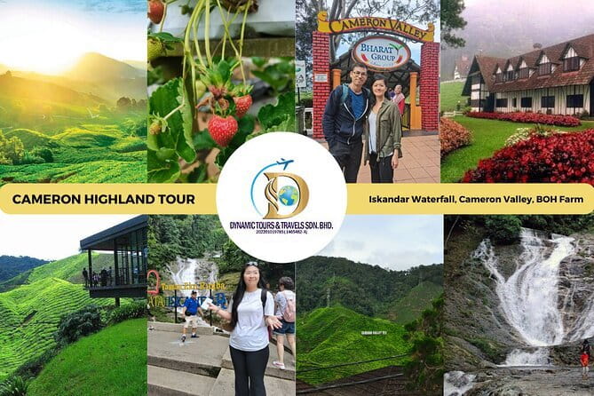Shared Fireflies Tour with Blue Tears and Seafood Dinner - Who will enjoy this tour most?