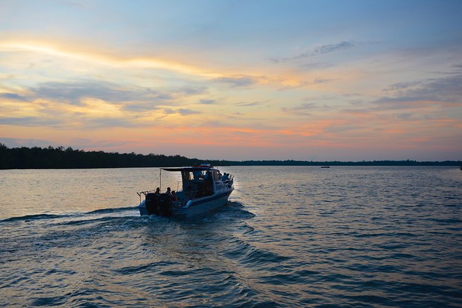 Shared Mangrove & Irrawaddy Dolphin Watching Cruise - Key points to know before you book