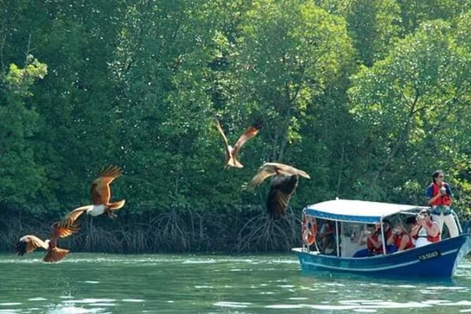 Sharing Half Day Kilim Geoforest Park Mangrove Boat Tour - Five hours on paper, longer in practice