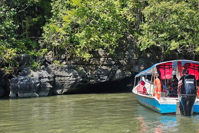 Sharing Half Day Mangrove Boat Tour With Lunch in Langkawi - Key things to know before you book
