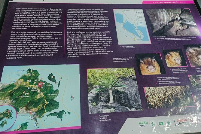 Sharing Half Day Mangrove Boat Tour With Lunch in Langkawi - Monkey areas and the quieter side of the mangroves