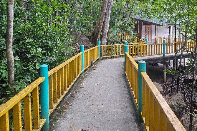 Sharing Half Day Mangrove Boat Tour With Lunch in Langkawi - Limestone cliffs and the shape of Kilim Geoforest Park