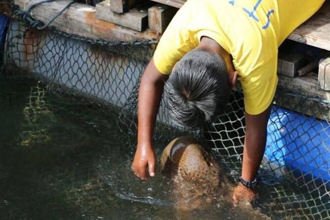 Sharing Half Day Mangrove Boat Tour With Lunch in Langkawi - Fish farm and floating restaurant lunch
