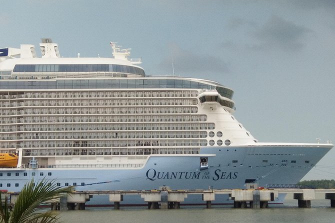 Sightseeing Kuala Lumpur City Tour from Cruise Terminal - The private vehicle matters on a port day