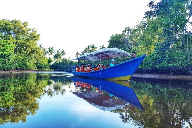 Sky-Mirror Photographing and Proboscis Monkey & Fireflies Watching River-Cruise - Key points to know before booking