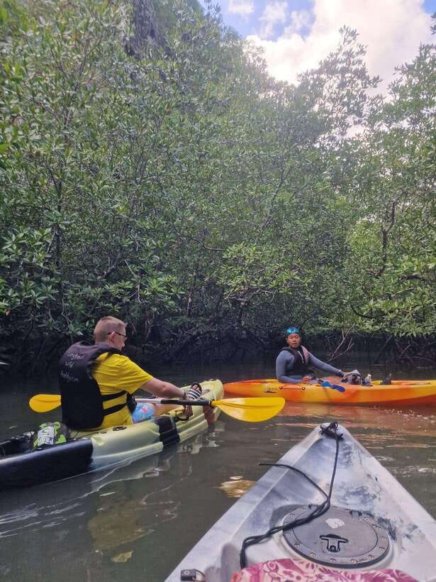 Small Group, Big Heart: Kilim Karst Mangrove Kayak Adventure - Is $69 a fair price?