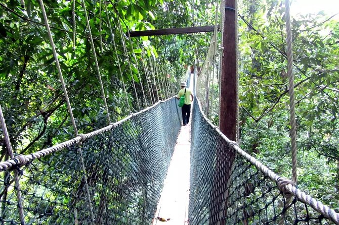 Taman Negara Day Tour with Canopy Walk - The 5:30 a.m. departure and long drive from Kuala Lumpur