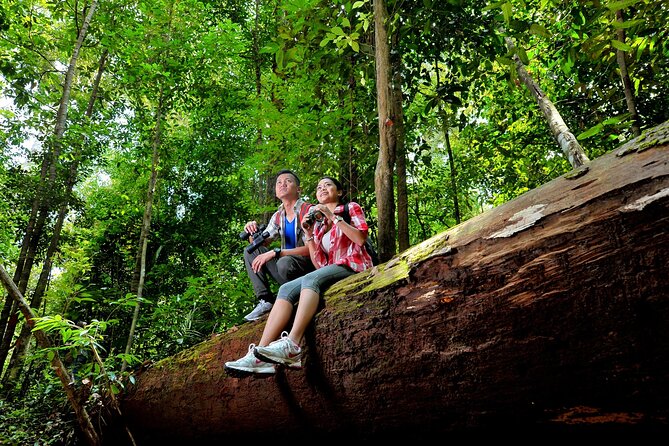 Taman Negara Day Trip from Kuala Lumpur with Lunch - What the guides add to the day