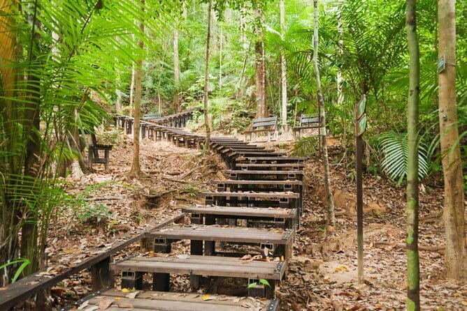 Taman Negara National Park Day Excursion from Kuala Lumpur PVT - What the $190 price really covers