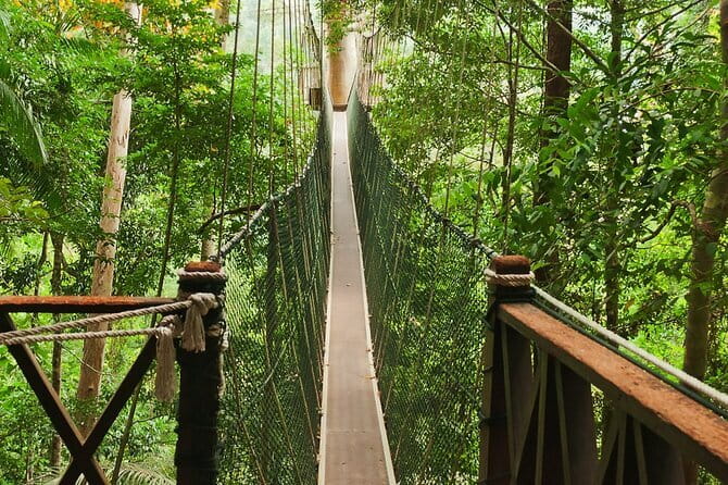 Taman Negara National Park Day Excursion from Kuala Lumpur PVT - Crossing the canopy walk above the trees