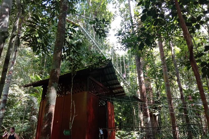 Taman Negara National Park Day Tour (SIC - Join In Tour) - A very early start from Kuala Lumpur
