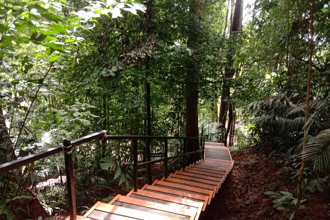 Taman Negara National Park Day Tour (SIC - Join In Tour) - Getting permits before the forest walk