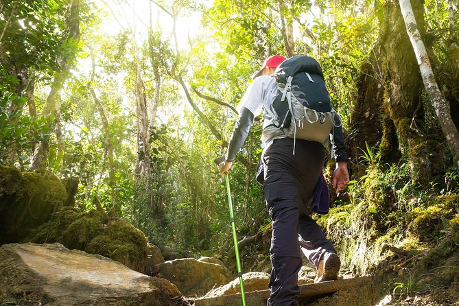 Templer Park and Kanching Waterfall Tour with Batu Caves Stopover - What the private transport adds