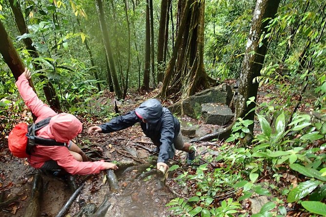 Templer Park and Kanching Waterfall Tour with Batu Caves Stopover - Practical planning for a smoother outing