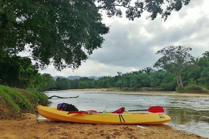 Terengganu Wildlife Kayak Tour - The animals you may see along the banks