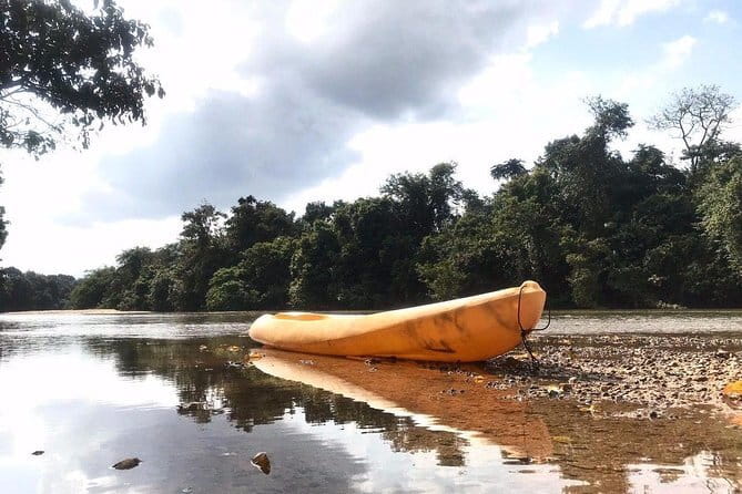 Terengganu Wildlife Kayak Tour - What the 3.5-hour outing feels like