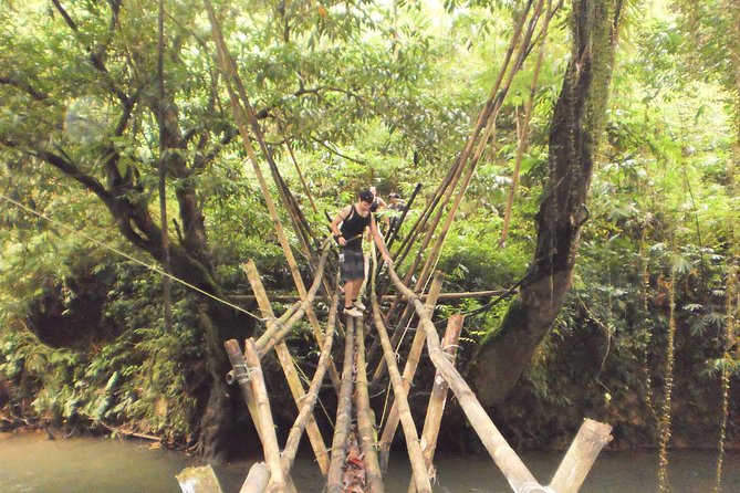 Traditional Bidayuh Village Bamboo Longhouse Tour - Where the tour may fall short
