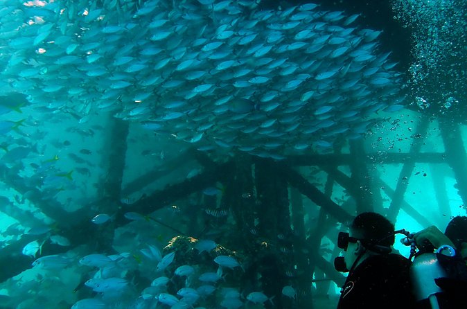 TRY SCUBA (non diver) - Safety, fitness, and flight planning