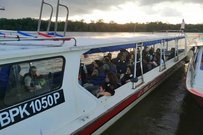 Twinkling Kuala Selangor Firefly Boat Tour from Kuala Lumpur - Why the fireflies make this Kuala Lumpur day trip special