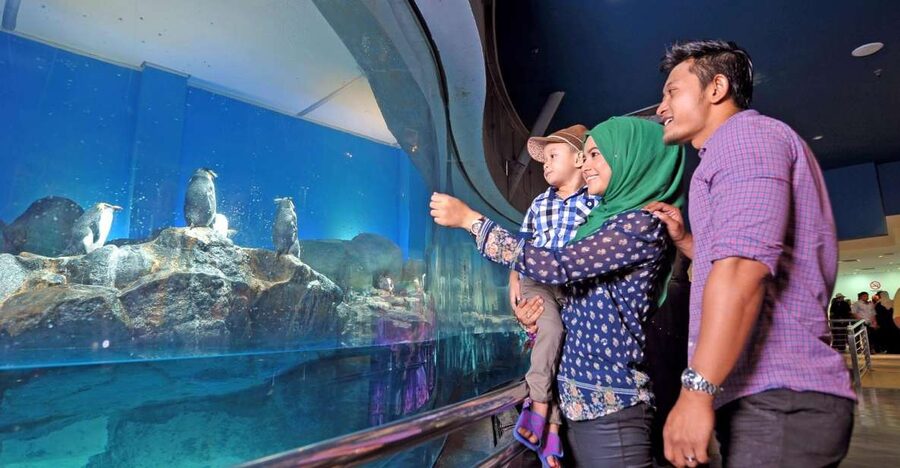 Underwater World Langkawi Admission Ticket - The 15-meter tunnel is the reason to come