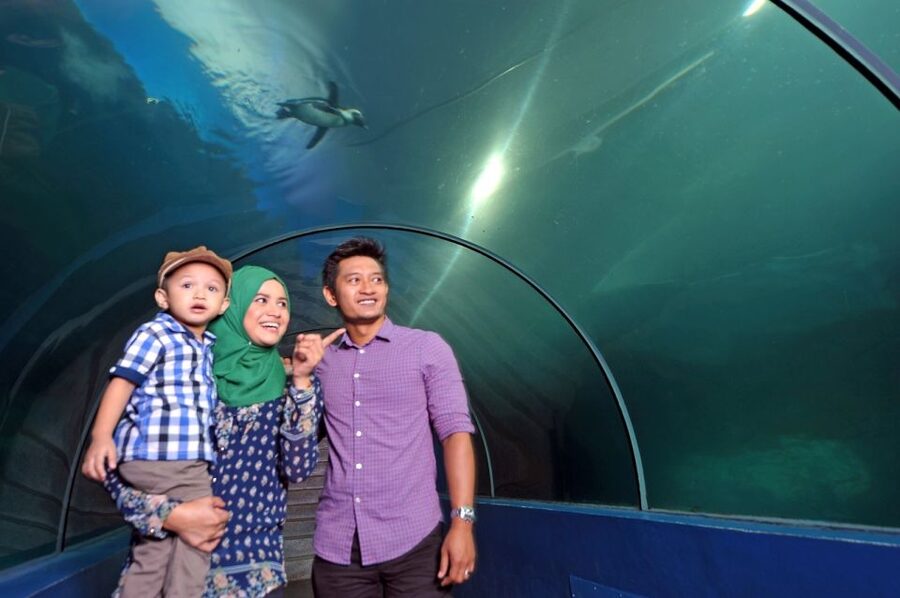 Underwater World Langkawi Admission Ticket - How long should you allow?